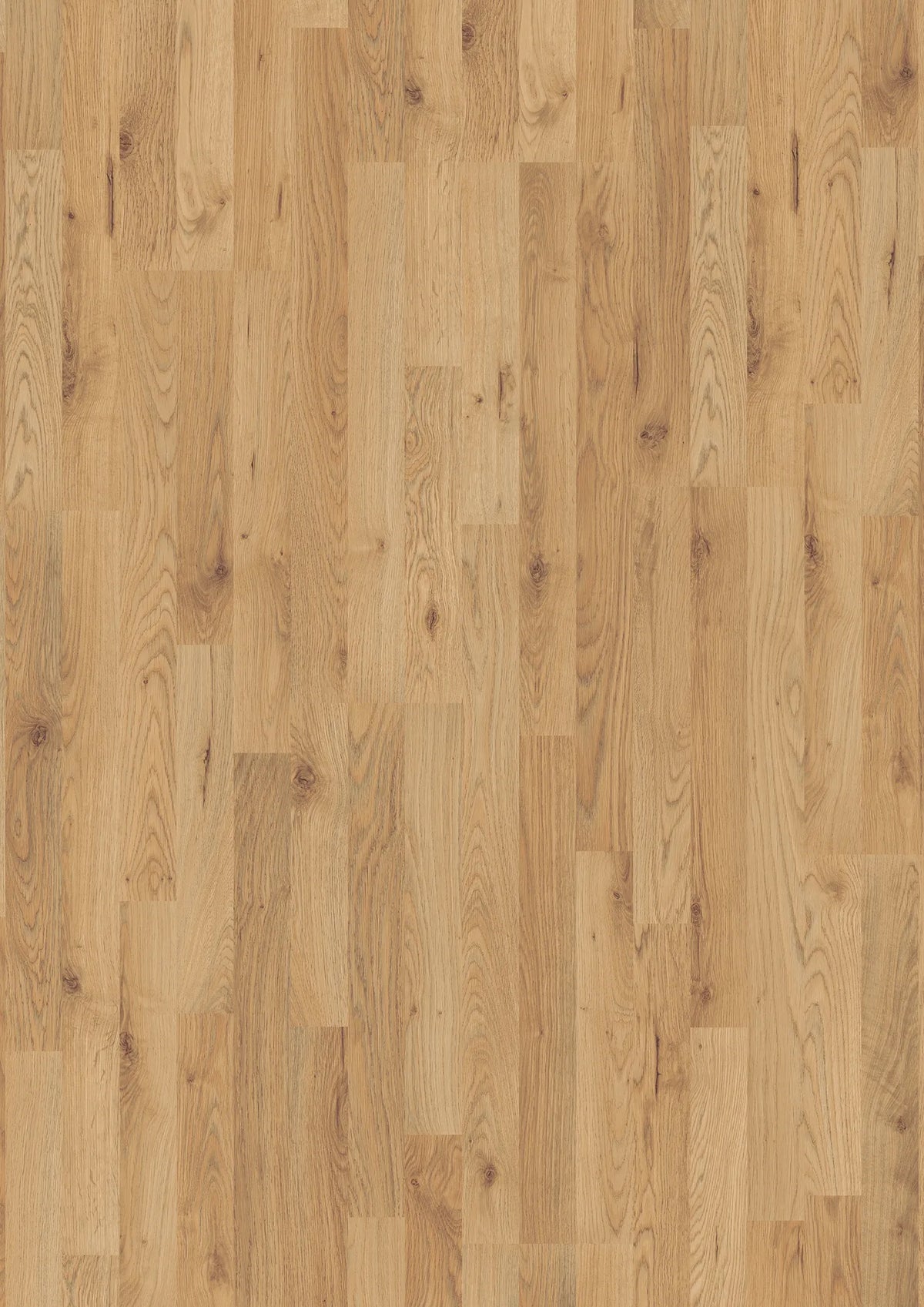 008940064_main_0