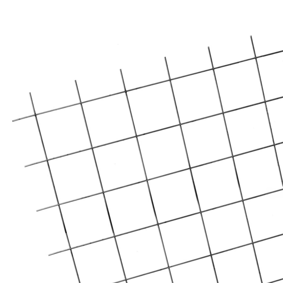 009027851_main_0