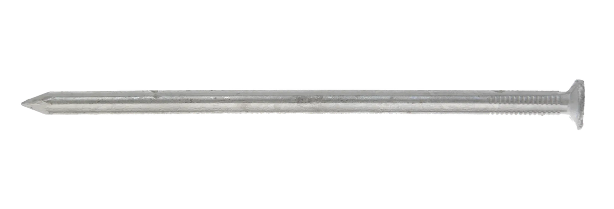 005255825_main_0
