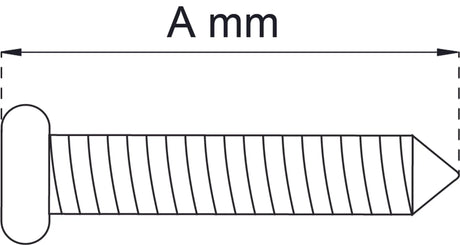 005154779_0