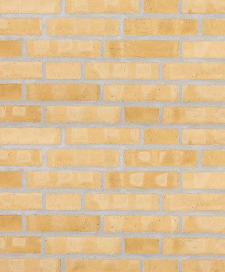 004447080_main_0