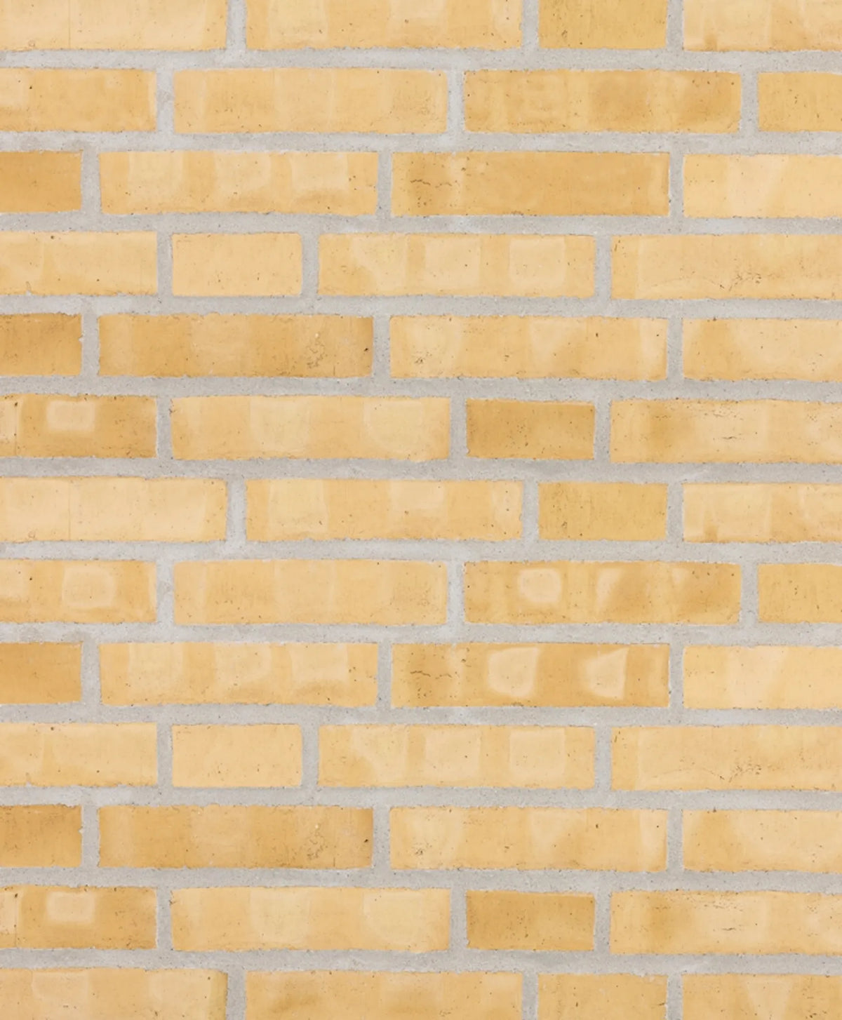 007474234_1
