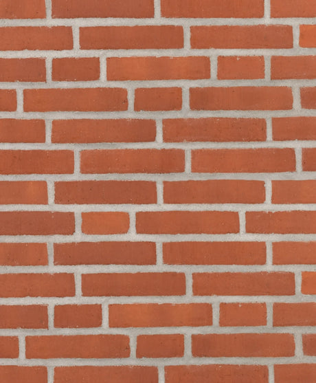 004447054_main_0