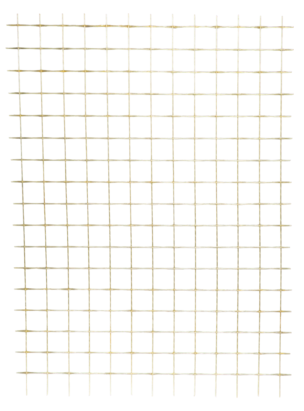 008939181_main_0