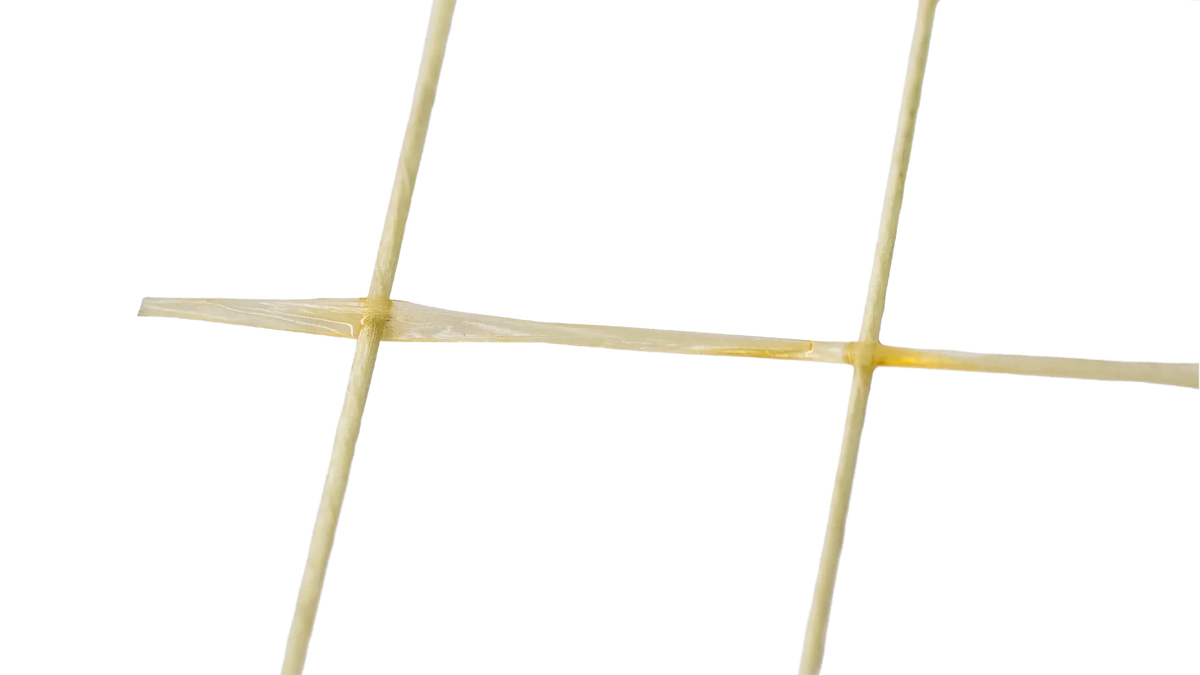 008939181_1