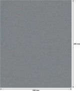 006310352_0